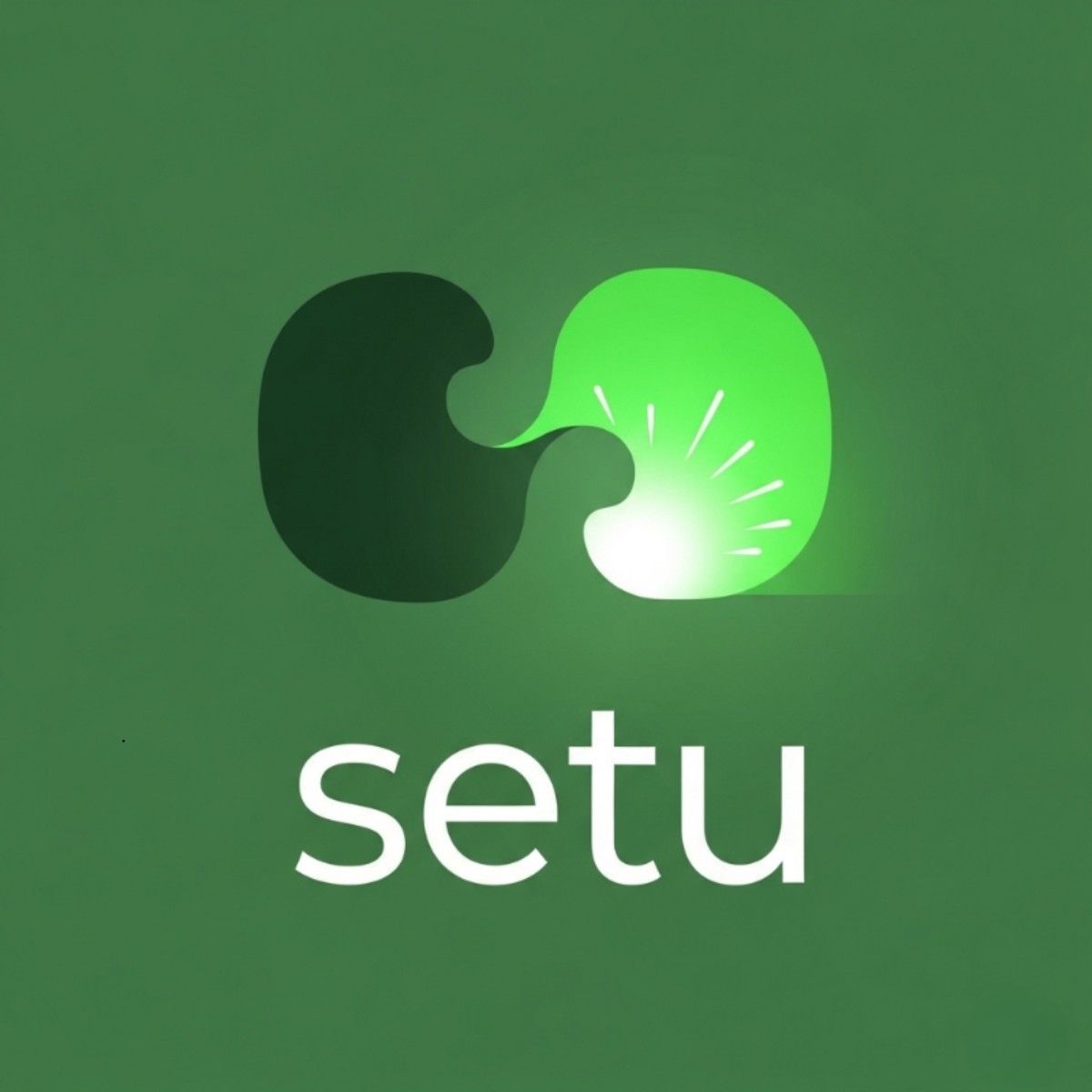 Setu Logo